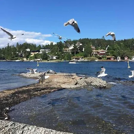 Sommerparadis Pa Nesbru - 5 Min A Ga Til Stranden Vila Asker